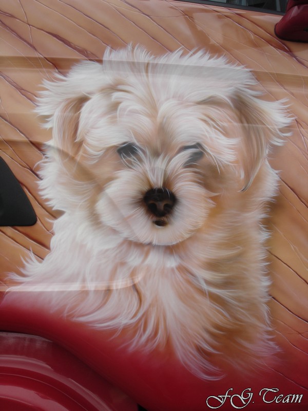 Noble (10).JPG